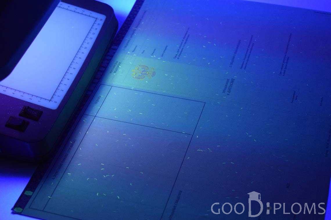 Приложение к Диплому Бакалавра с Отличием в Ультрафиолете период c 2013 по 2025 год - Львов
