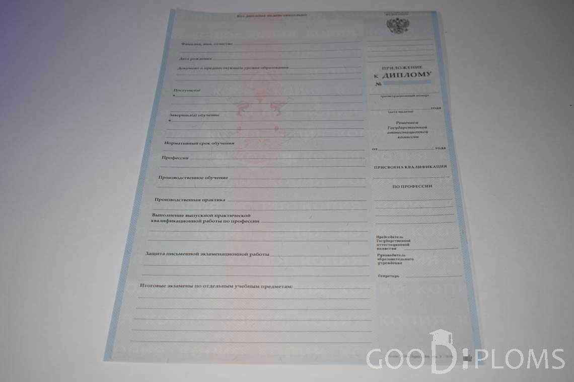 Приложение к Диплому Училища период выдачи 2007-2010  -  Львов