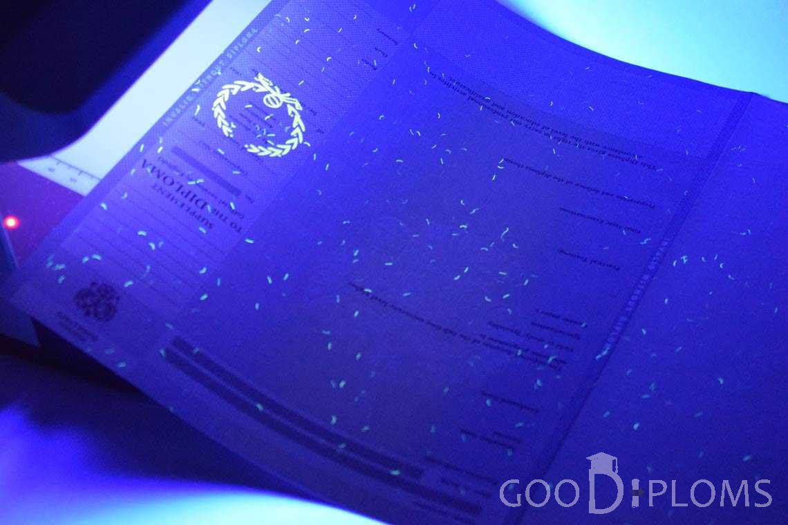 Приложение к Диплому Для Иностранных Граждан в Ультрафиолете - Львов