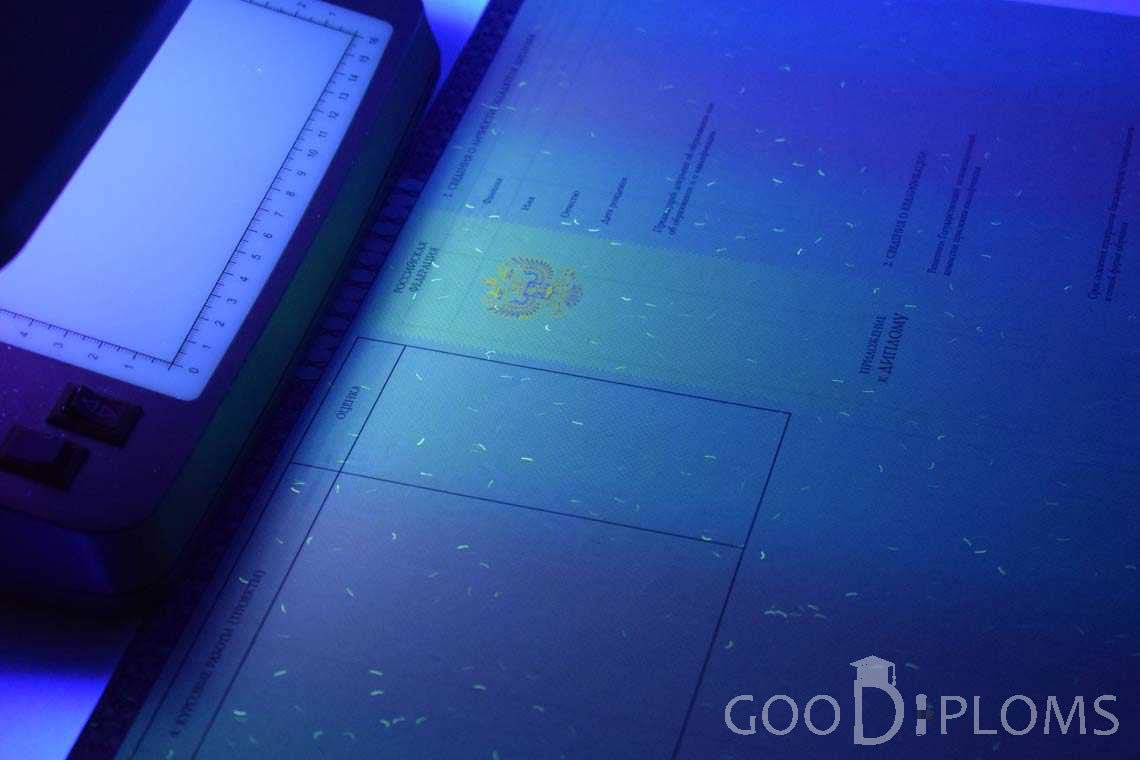 Приложение к Диплому о Высшем Образовании с Отличием в Ультрафиолете - Львов