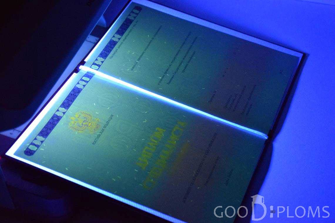 Бланк Диплома о Высшем Образовании с Отличием в Ультрафиолете - Львов