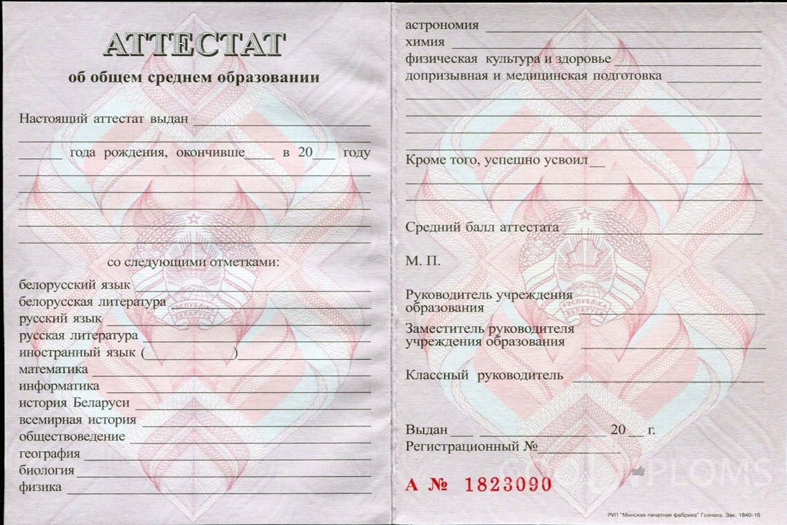 Белорусский аттестат за 11 класс - Львов